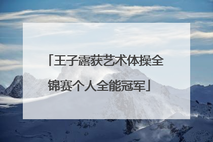 王子露获艺术体操全锦赛个人全能冠军