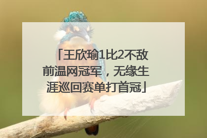 王欣瑜1比2不敌前温网冠军，无缘生涯巡回赛单打首冠