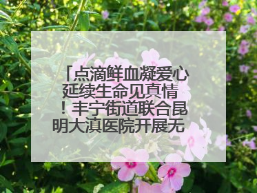 点滴鲜血凝爱心 延续生命见真情！丰宁街道联合昆明大滇医院开展无偿献血活动