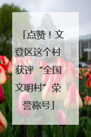 点赞！文登区这个村获评“全国文明村”荣誉称号