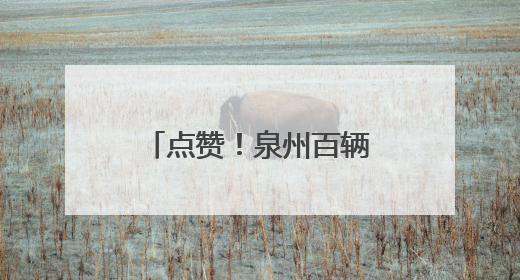点赞！泉州百辆无障碍公交上线，圆特殊乘客“自由出行梦”