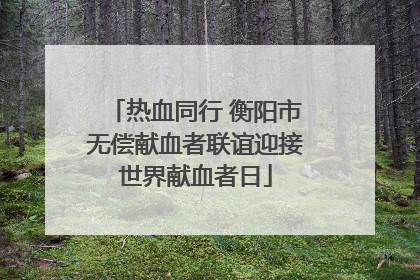 热血同行 衡阳市无偿献血者联谊迎接世界献血者日
