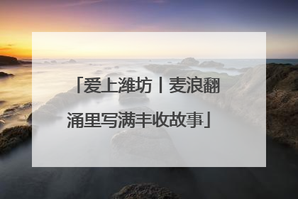 爱上潍坊丨麦浪翻涌里写满丰收故事