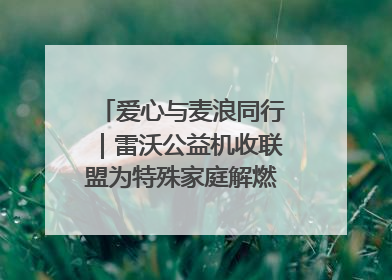 爱心与麦浪同行｜雷沃公益机收联盟为特殊家庭解燃“麦”之急