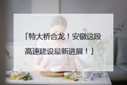 特大桥合龙！安徽这段高速建设最新进展！