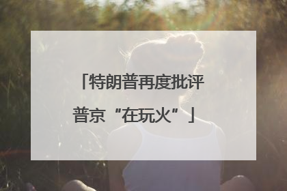 特朗普再度批评普京“在玩火”