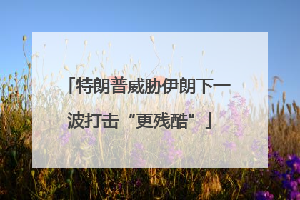 特朗普威胁伊朗下一波打击“更残酷”