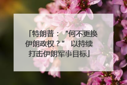 特朗普：“何不更换伊朗政权？” 以持续打击伊朗军事目标