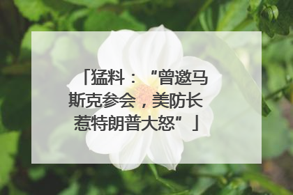 猛料：“曾邀马斯克参会，美防长惹特朗普大怒”