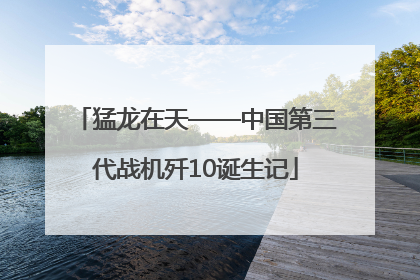 猛龙在天——中国第三代战机歼10诞生记