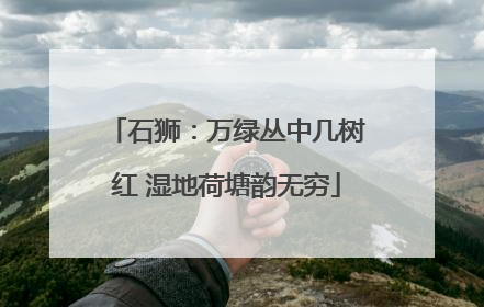 石狮：万绿丛中几树红 湿地荷塘韵无穷