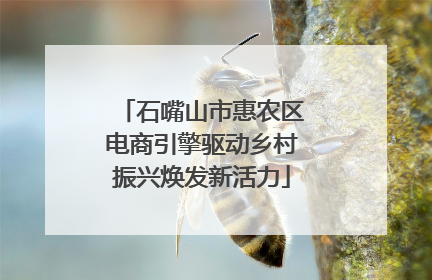 石嘴山市惠农区电商引擎驱动乡村振兴焕发新活力