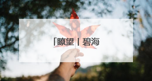 瞭望丨碧海蓝天映煤港