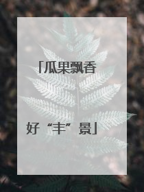 瓜果飘香 好“丰”景