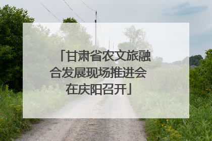 甘肃省农文旅融合发展现场推进会在庆阳召开