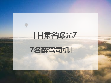 甘肃省曝光77名醉驾司机