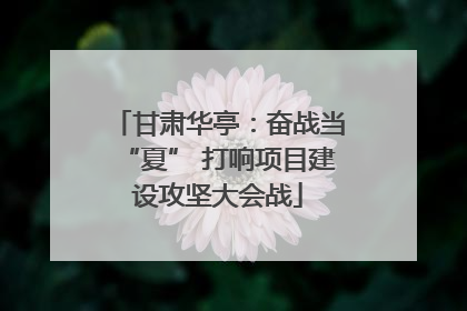 甘肃华亭：奋战当“夏” 打响项目建设攻坚大会战