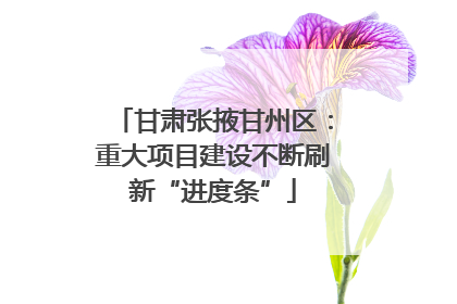 甘肃张掖甘州区：重大项目建设不断刷新“进度条”