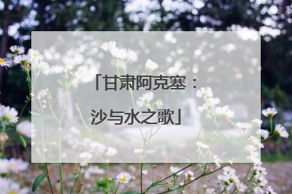 甘肃阿克塞：沙与水之歌