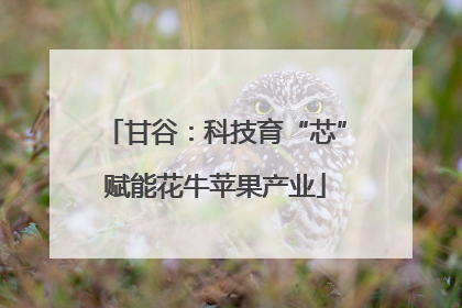 甘谷：科技育“芯”赋能花牛苹果产业
