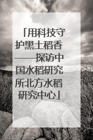 用科技守护黑土稻香——探访中国水稻研究所北方水稻研究中心