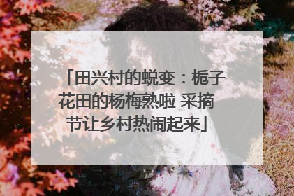 田兴村的蜕变：栀子花田的杨梅熟啦 采摘节让乡村热闹起来