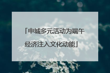 申城多元活动为端午经济注入文化动能