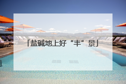 盐碱地上好“丰”景