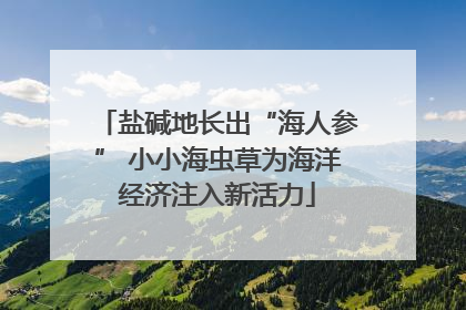 盐碱地长出“海人参” 小小海虫草为海洋经济注入新活力