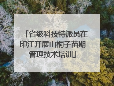 省级科技特派员在印江开展山桐子苗期管理技术培训