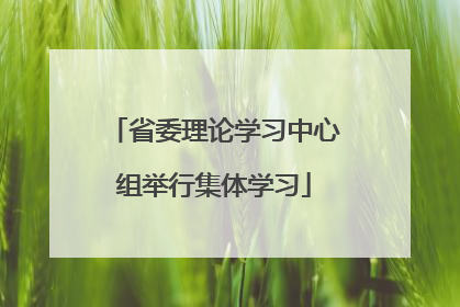 省委理论学习中心组举行集体学习