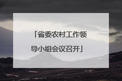省委农村工作领导小组会议召开