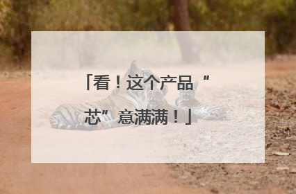 看！这个产品“芯”意满满！