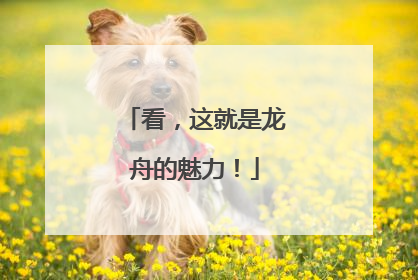 看，这就是龙舟的魅力！