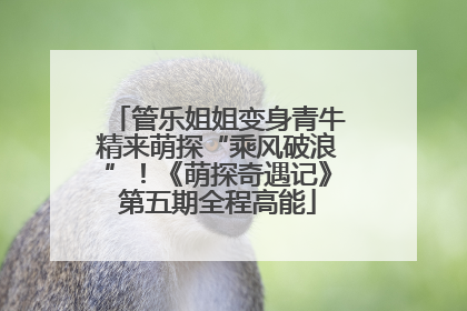 管乐姐姐变身青牛精来萌探“乘风破浪”！《萌探奇遇记》第五期全程高能