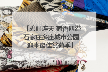碧叶连天 荷香四溢 石家庄多座城市公园迎来最佳赏荷季