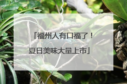 福州人有口福了！夏日美味大量上市