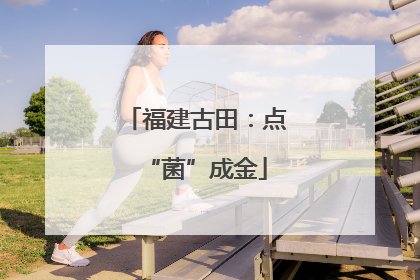 福建古田：点“菌”成金