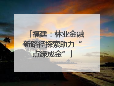 福建：林业金融新路径探索助力“点绿成金”