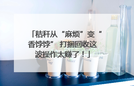 秸秆从“麻烦”变“香饽饽” 打捆回收这波操作太赚了！