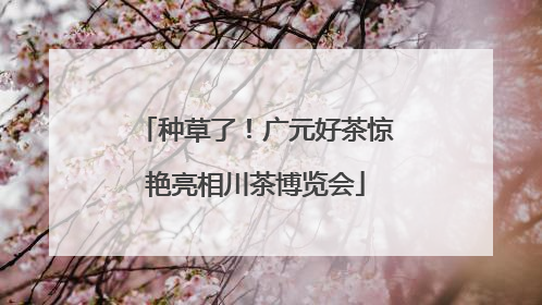 种草了！广元好茶惊艳亮相川茶博览会
