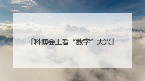 科博会上看“数字”大兴