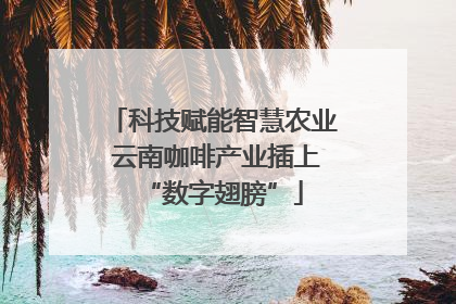 科技赋能智慧农业 云南咖啡产业插上“数字翅膀”
