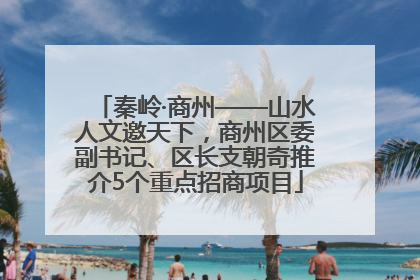 秦岭·商州——山水人文邀天下，商州区委副书记、区长支朝奇推介5个重点招商项目