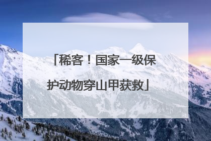稀客！国家一级保护动物穿山甲获救