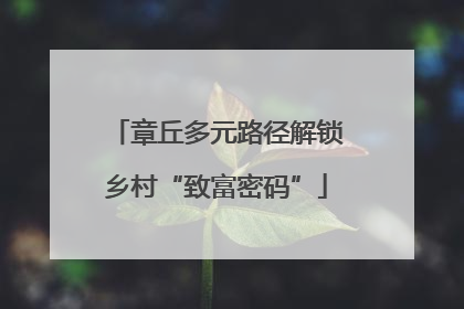 章丘多元路径解锁乡村“致富密码”