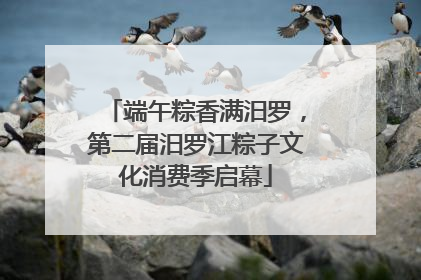 端午粽香满汨罗，第二届汨罗江粽子文化消费季启幕