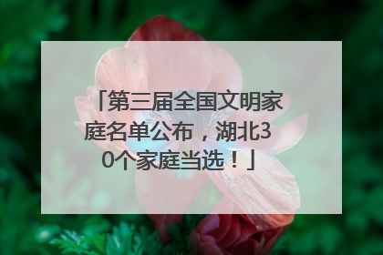 第三届全国文明家庭名单公布，湖北30个家庭当选！