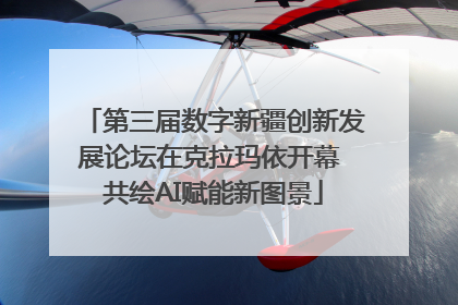 第三届数字新疆创新发展论坛在克拉玛依开幕 共绘AI赋能新图景