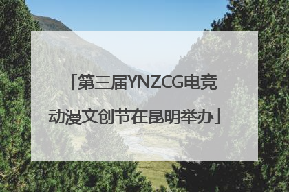 第三届YNZCG电竞动漫文创节在昆明举办